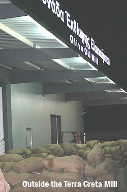 Terra Creta1 | Olive Oil Times